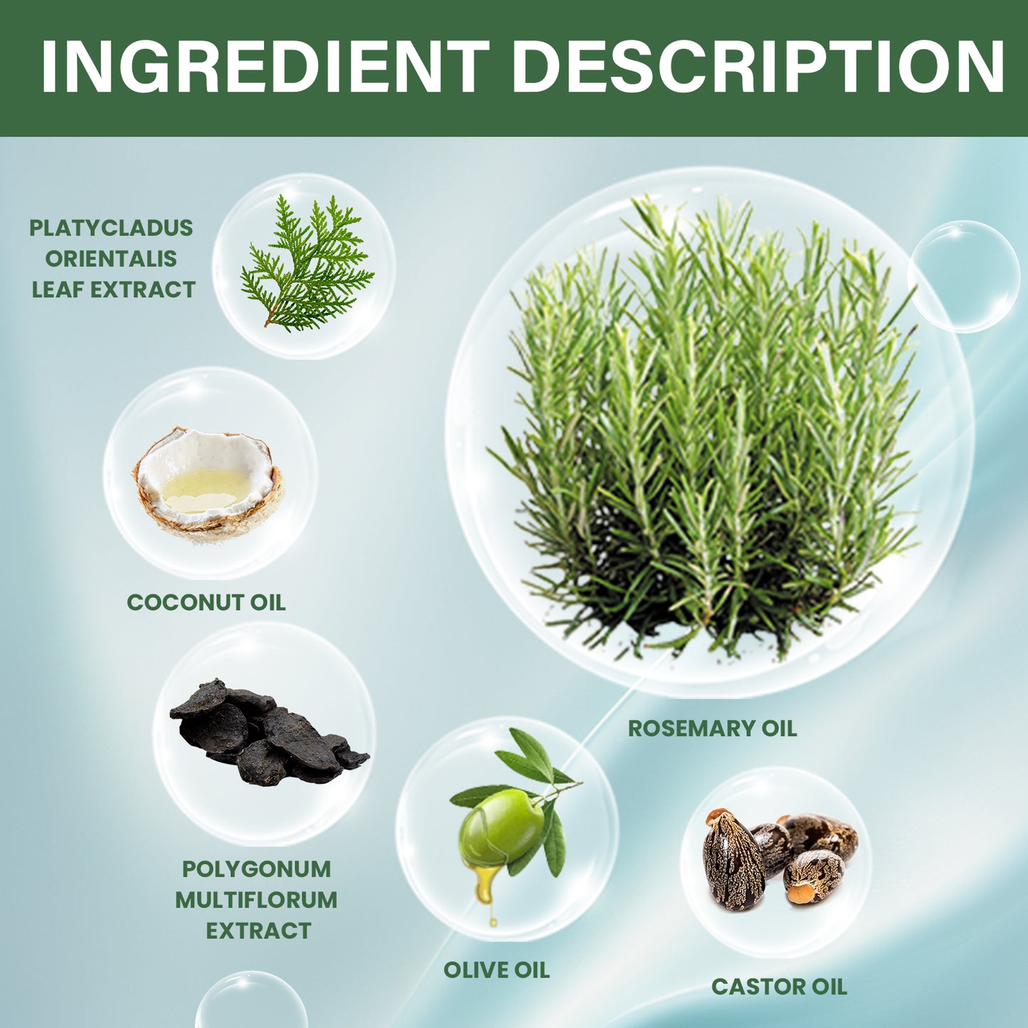 Rosemary Oil Capsules Essential Oil