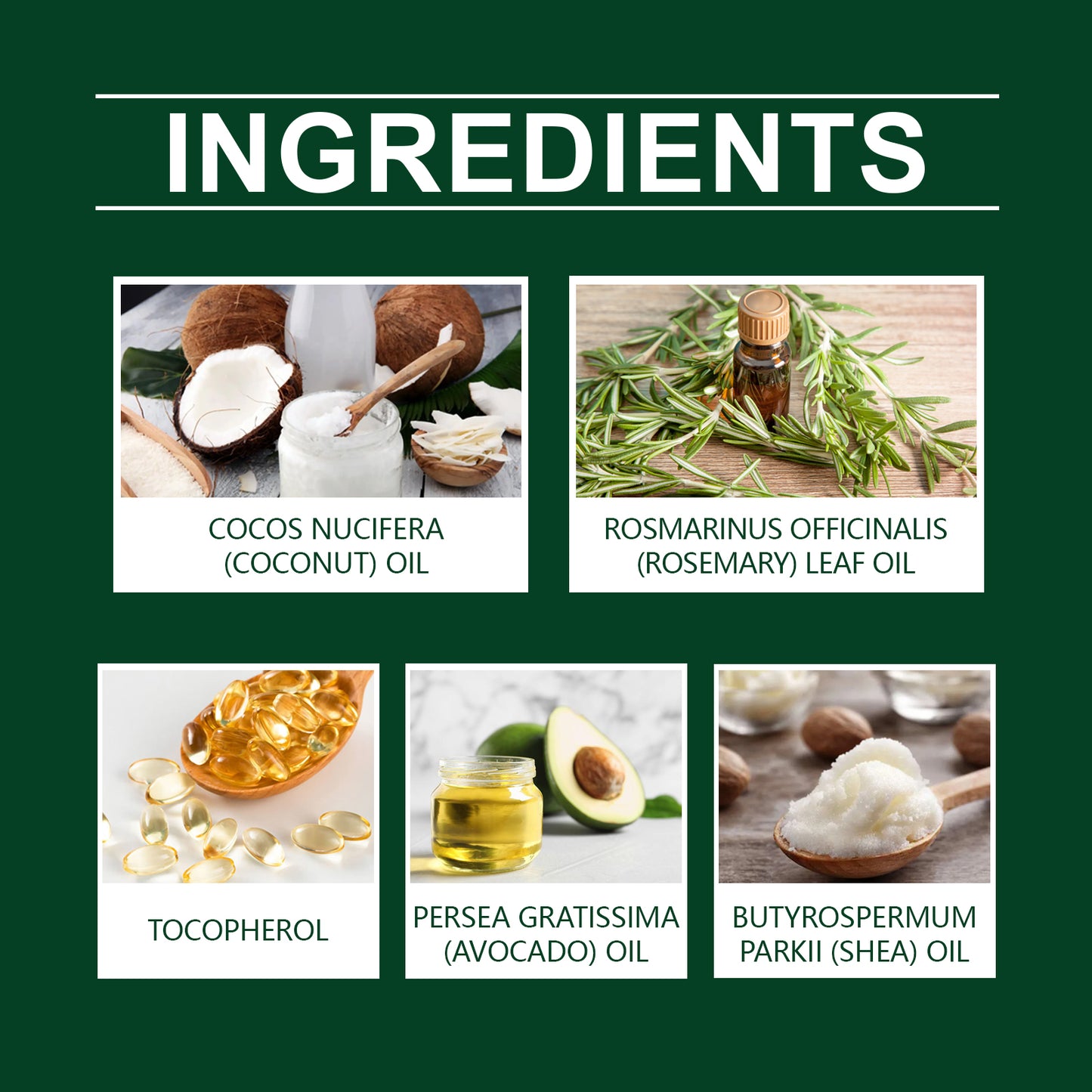 Rosemary Coconut Hair Oil Nourishes