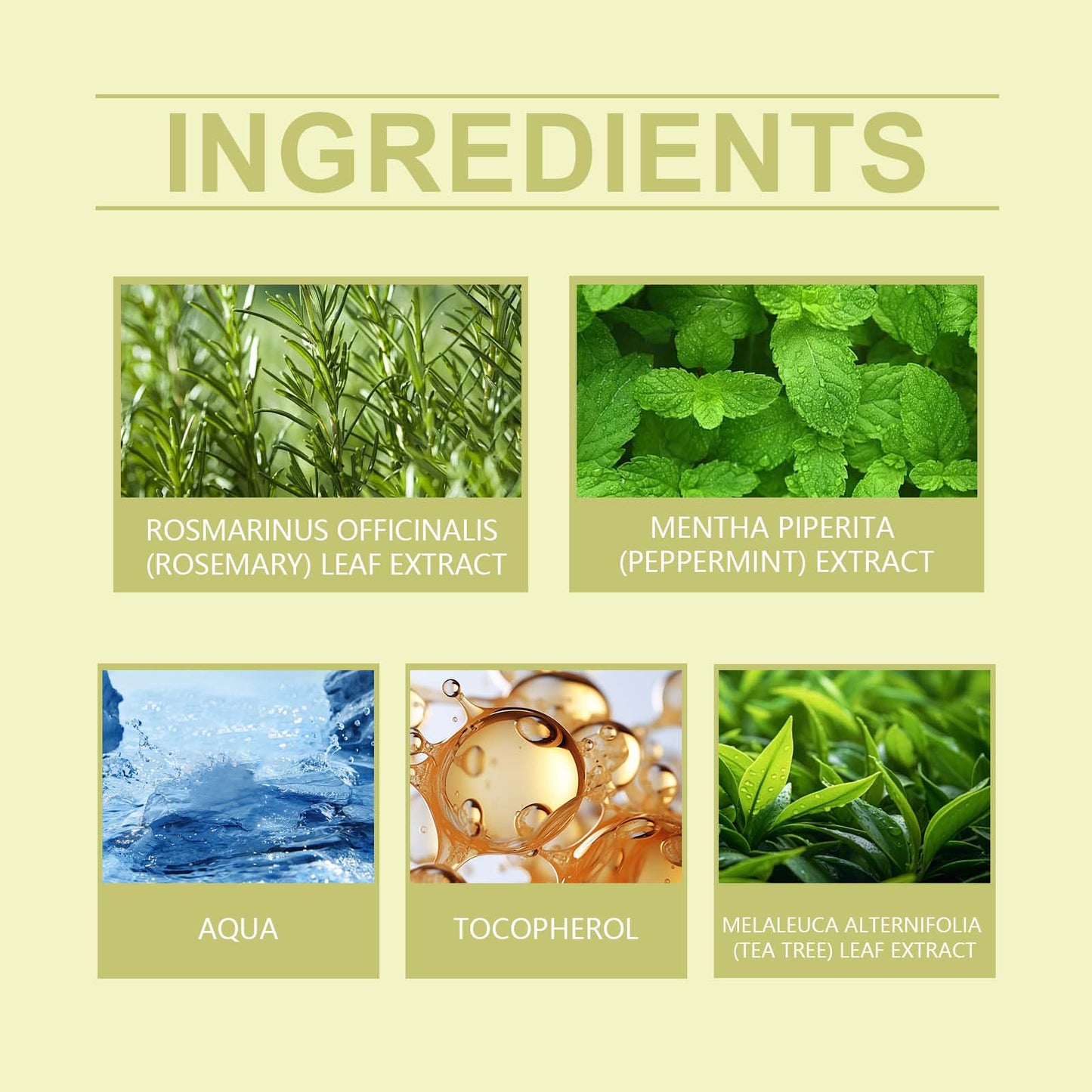 Rosemary Hair Care Spray Nourishes